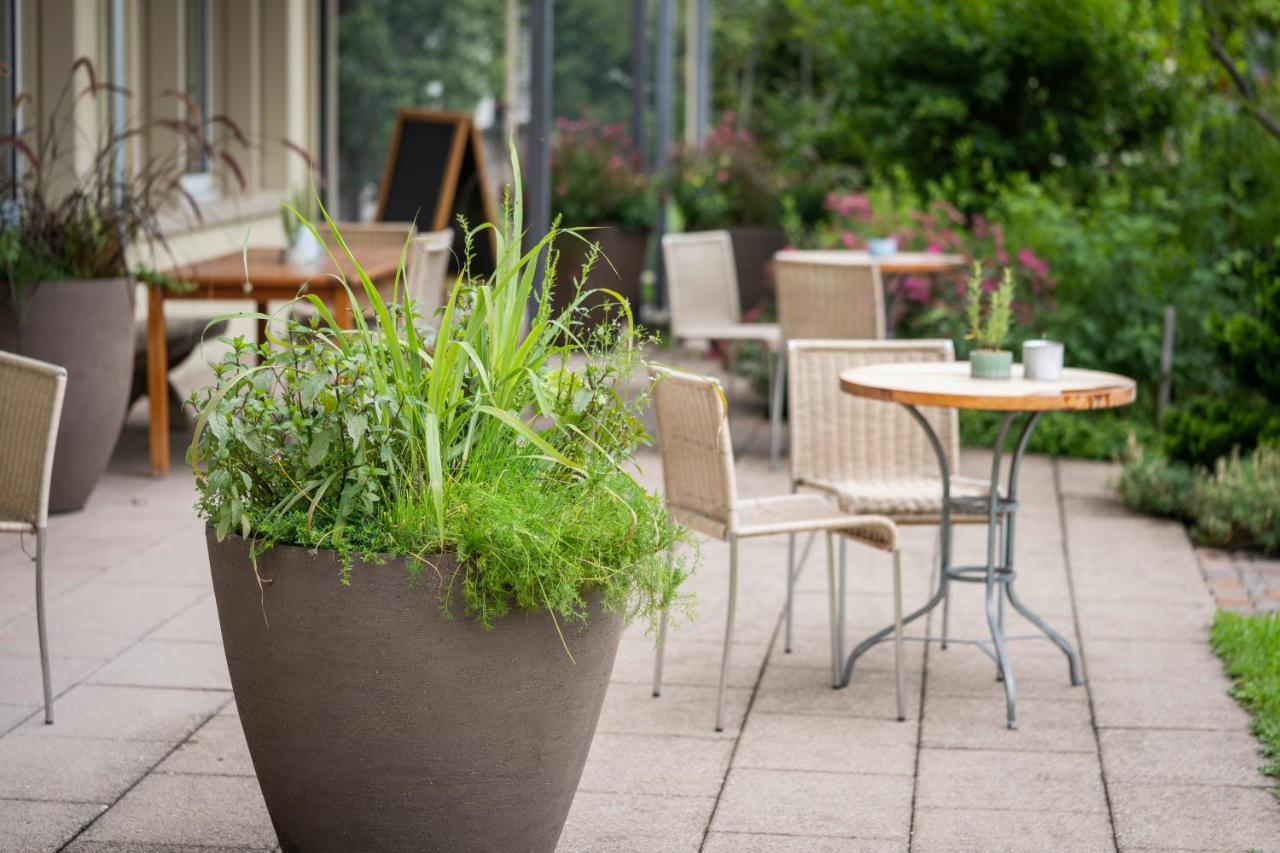 Vegan Health Hotel Sonnenberg Glutenfrei Schwellbrunn Extérieur photo
